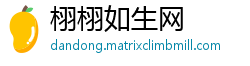 栩栩如生网